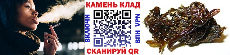 Купить где  Мостовской  ГАШ Cannabis 