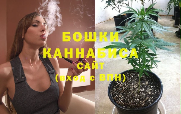 стафф Краснослободск