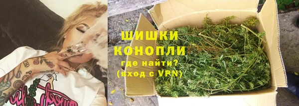 стафф Краснослободск