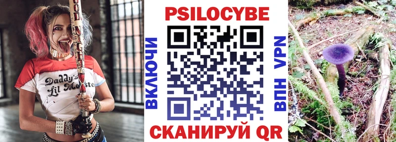 Купить где  Мостовской  Галлюциногенные грибы GOLDEN TEACHER 